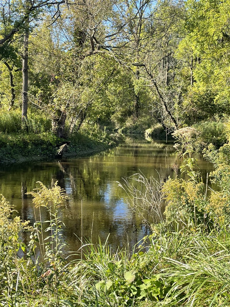 FilomenaTassi's tweet photo. Appreciating these beautiful views on my #mindfulness walk this morning in #HamOnt https://t.co/YeFPO1qPEu
