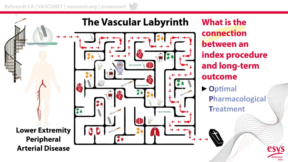 GermanVasc@CA_Behrendt tweet media