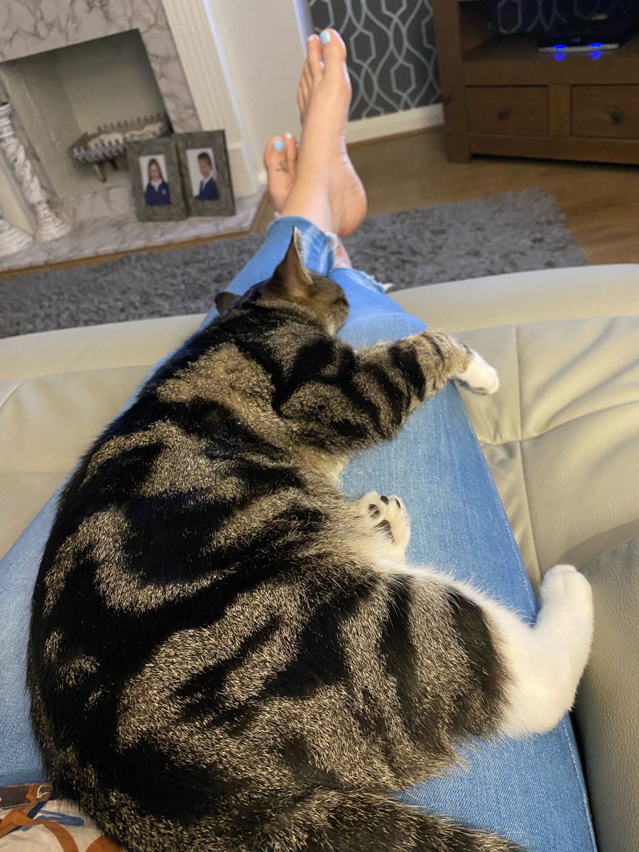 Tommy decided to have a little fun and give his hoomans a scare! 

"So our beautiful little Tommy decided to take an adventure last Sunday about 6pm and dissapear for 36 hours by going AWOL.  Fast forward to 5.50am Tuesday morning and he decides to put in an appearance!" 

#cats
