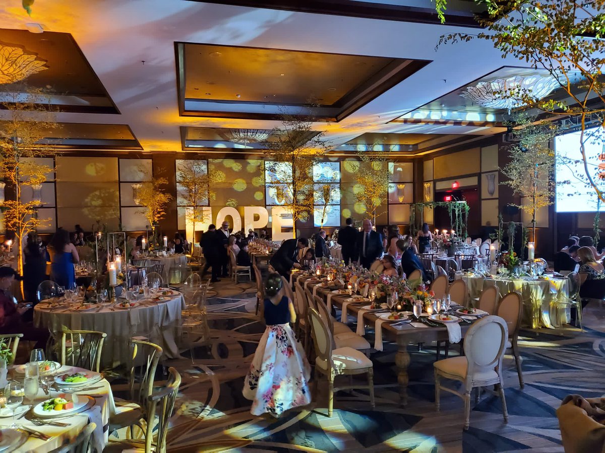 Diana_Azzam_PhD's tweet image. Magical night at Bella’s ball 🔥