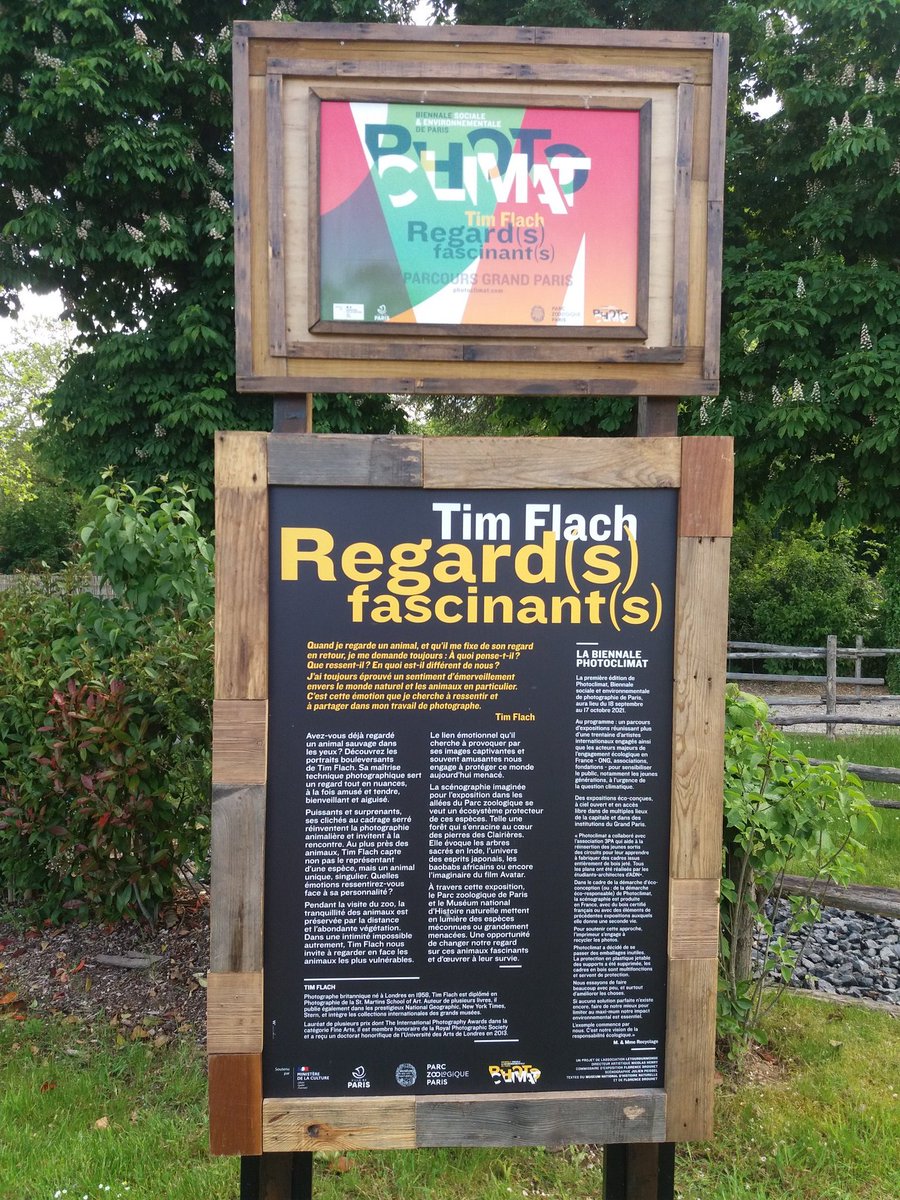 pybureau's tweet photo. Très heureux d'accueillir ce dimanche au @zoodeparis le photographe britannique #TimFlach pour une carte blanche exceptionnelle autour de ses clichés exposés aux clairières du #zoo. Un engagement commun en faveur de la préservation des #espèces menacées. @photoclimat @Le_Museum https://t.co/Zjo3cKp9je