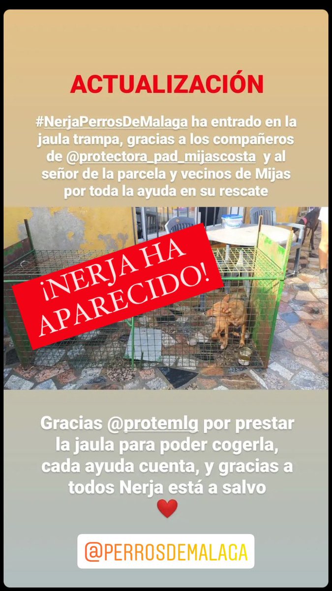 trecemichis's tweet photo. ¡NERJA HA APARECIDO! https://t.co/2nZOVVXZ2U