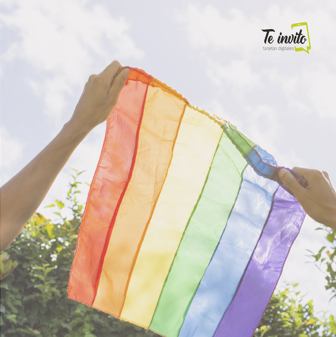teinvito_card's tweet photo. 🌈La #Felicidad no tiene limites. Disfrutá cada momento porque es ÚNICO en tu vida. Seguro no va a haber otro igual

¿Organizando tu #fiesta? Escribinos por MD

#Diversidad #MatrimonioIgualitario #amorsinlimites https://t.co/NGR5AA3FAT