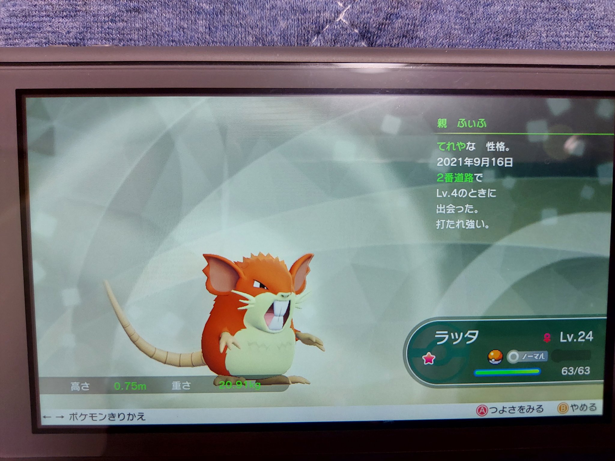 ふぃふ ピカブイも地味にやってます 色コラッタはラッタに進化しました T Co 8tsrbc7svy Twitter ふぃふ ピカブイも地味にやってます 色コラッタはラッタに進化しました T Co 8tsrbc7svy Twitter
