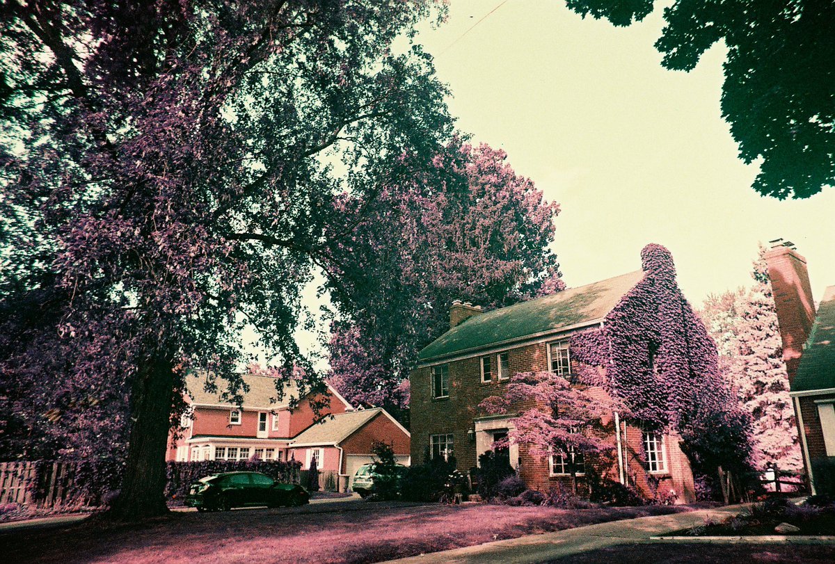 My first roll of lomography purple.