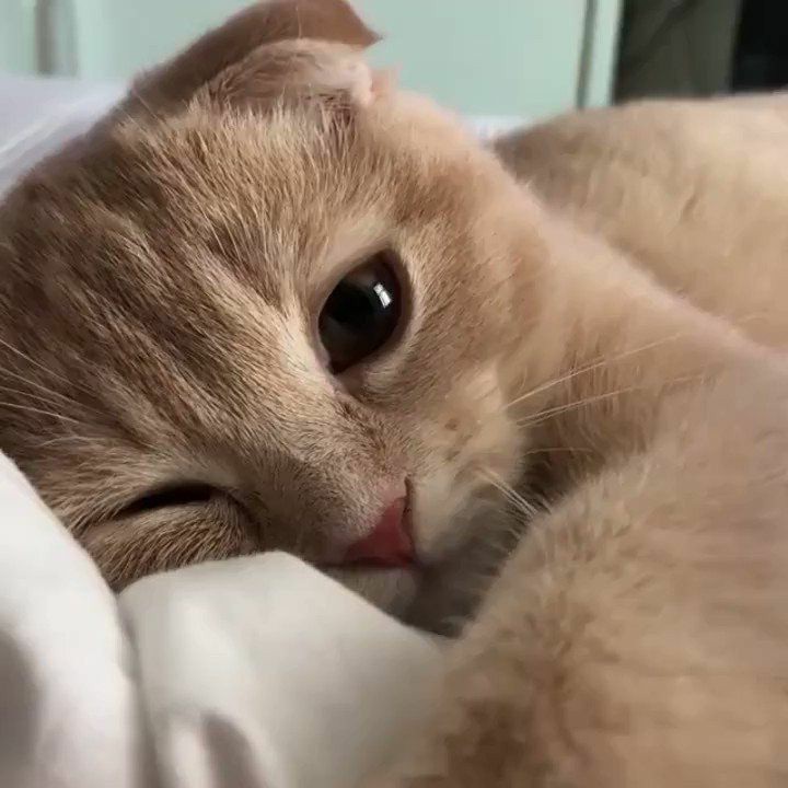 #조아 ♡♡