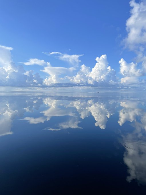 Breathtaking. https://t.co/4cMMQlybCa<a href="/tag/abundance360"class="tags"><span>#abundance360</span></a>