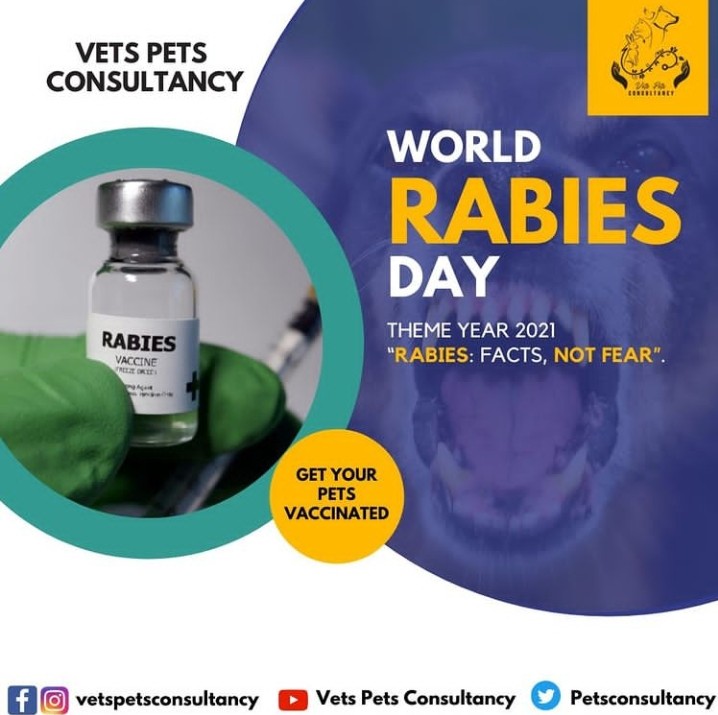 Petsconsultancy's tweet photo. Rabbits do speak but with those who love to listen to them. 

Vets Pets Consultancy is delighted to share with you all the International Rabbits Day. 

#vetspetsconsultancy #vetspets #vetspetlife #petslove #rabbitsday #animalslove https://t.co/SHbXOPhK3g