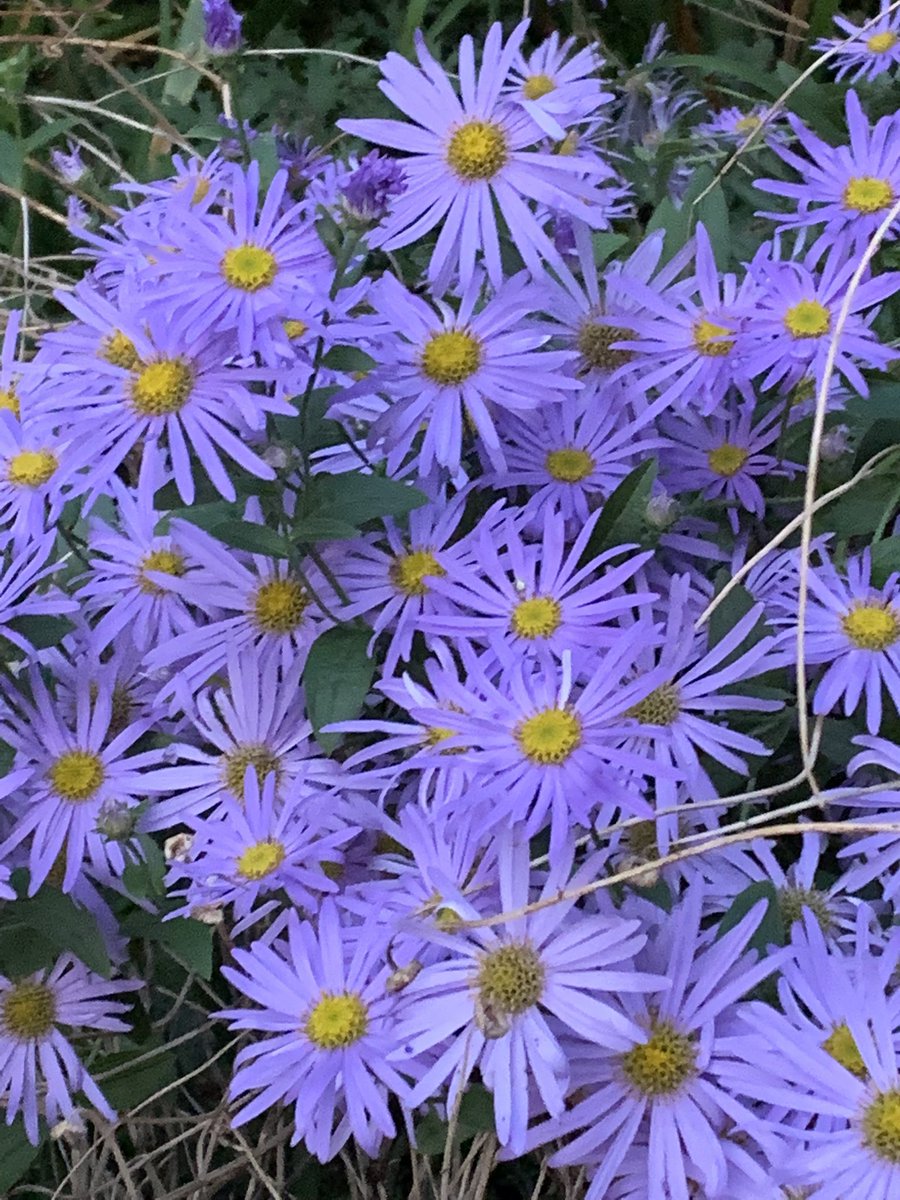 rksingh97263's tweet image. To let go is to release the images and emotions, the grudges and fears, the clinging disappointments of the past that bind us.