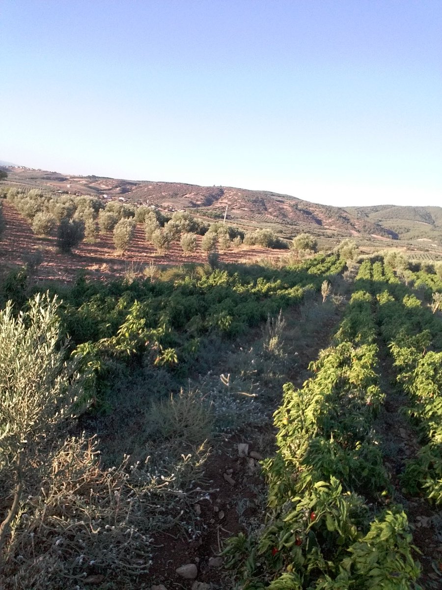Can dost davet ederde biz gelmezmiyiz slm  can dost adammın dibisin burayi fotolarla ispat etmeye gerek yok inanmayana