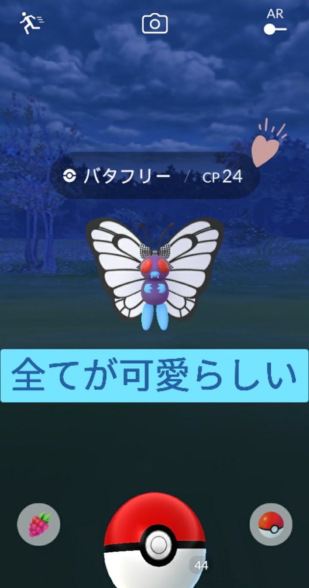 あんこ猫 Anko Cat ポケモンgo Ankocatgo333 Twitter