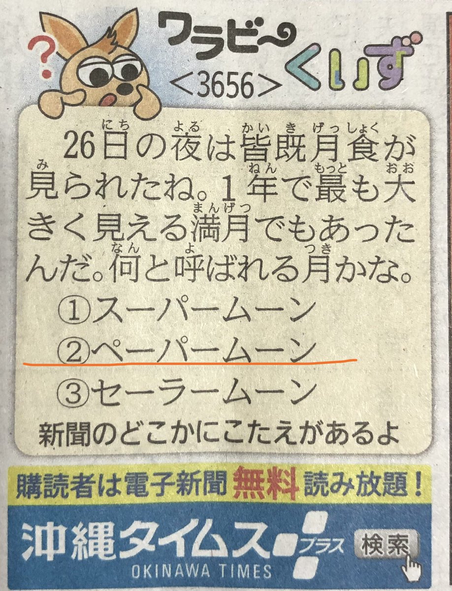 ペーパームーンキング