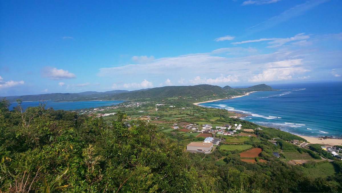 とらちゃん 魚突き 奄美 Toratyan1104 Twitter