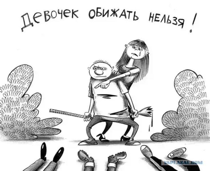 Обидеть невозможно. Юмористические рисунки. Карикатура обиделся. Карикатуры на женщин. Обида карикатура.