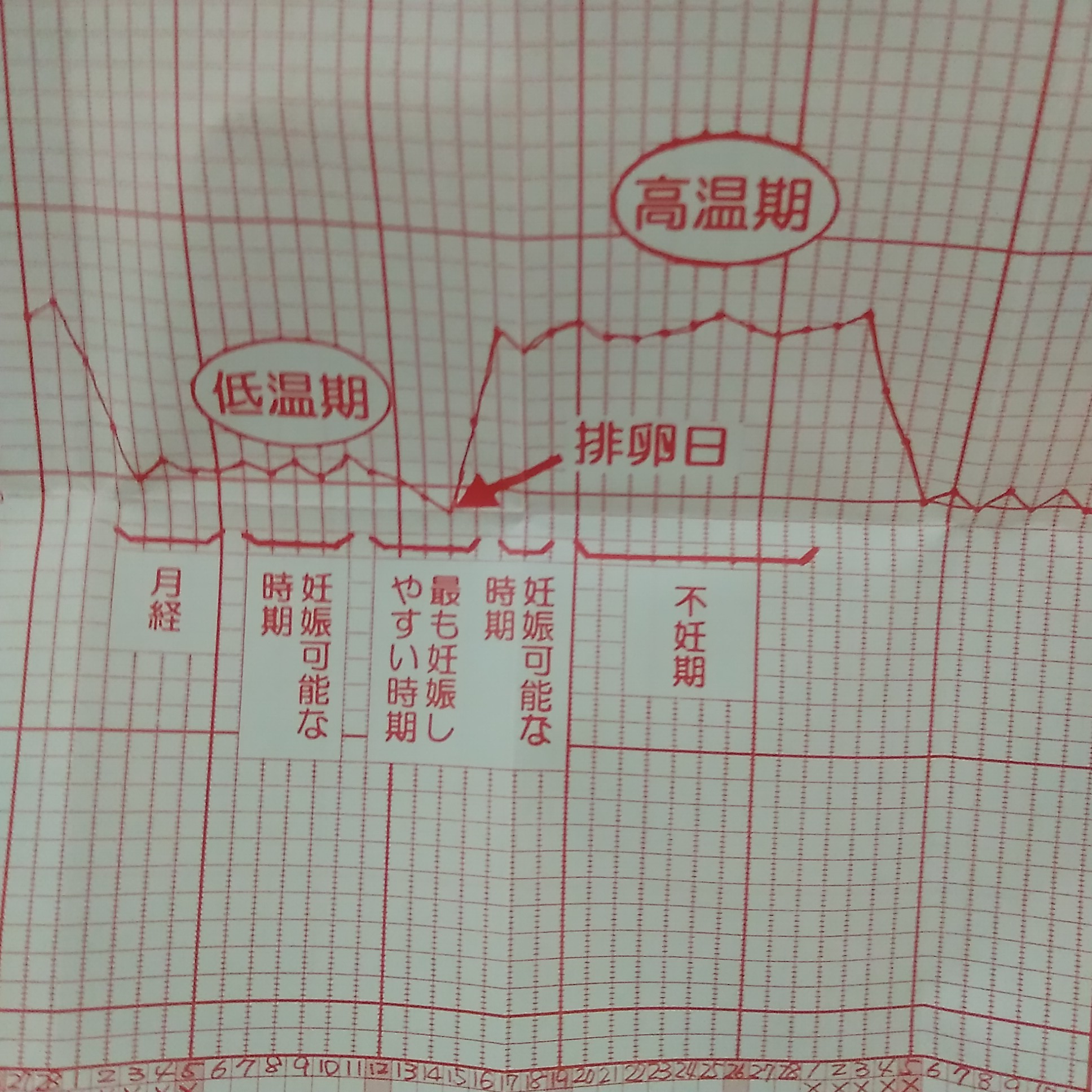 月経周期 Twitter Search Twitter