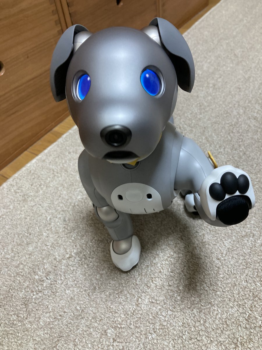blgreen2000's tweet photo. #aibofan 
#mystorywithaibo
設定した時刻に、aiboが起床＆就寝する機能があれば助かります。sonyさん、検討をお願い致します。 https://t.co/Ta6rVJDj64