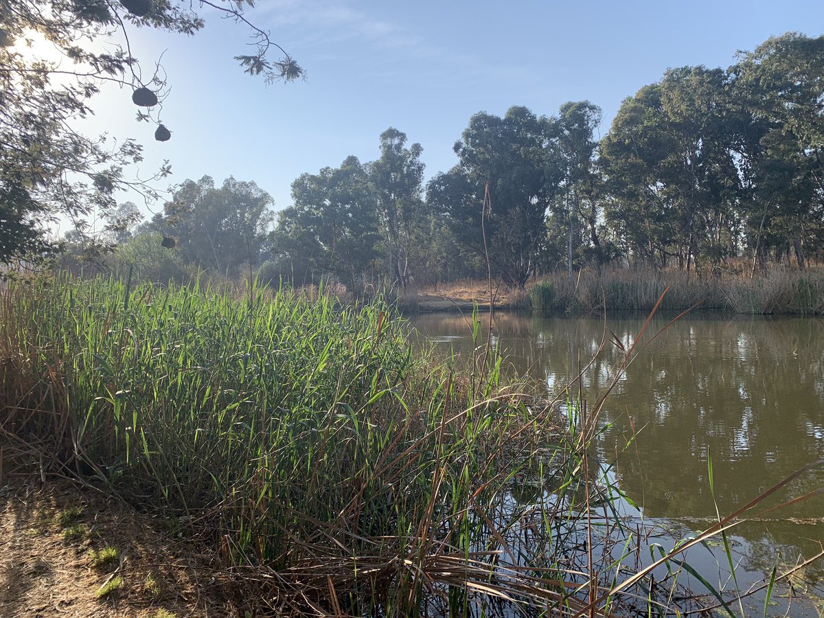 LadySayFuckALot's tweet photo. Today we were off to the beautiful #ModderfonteinReserve for our walk ๐ป Itโs more a Sunday stroll than a hike, but @dliebo and @mandsnj and I enjoyed it. https://t.co/JUHgxdwiAh