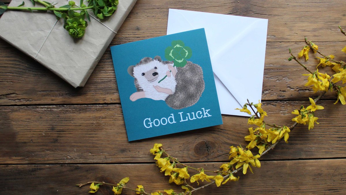 why not wish someone Goodluck with a little hedgehog holding a clover

🔗 This card can be found in the greeting cards section on my Etsy, Link in Bio 🔗⁠
⁠
#letterboxgifts #handmadecardsforsale #handmadegreetingscards #EtsyUK #Etsy #RoyalMail