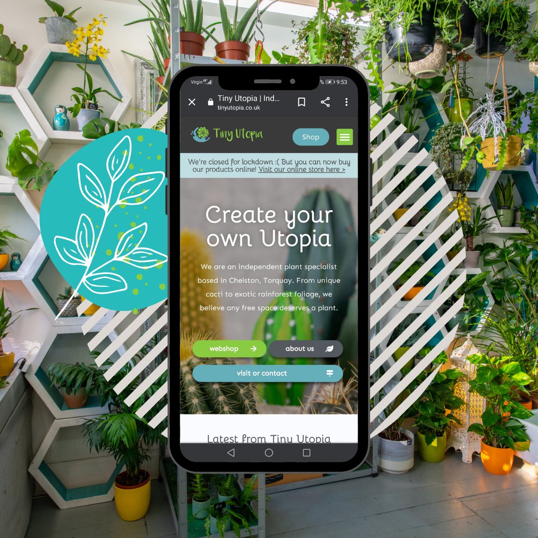 Tiny Utopia tweet media