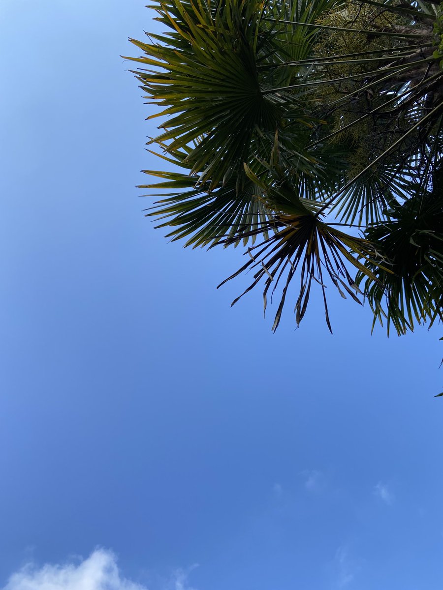 NickeGiles's tweet photo. Happy National GetOutside day! And what a glorious day for it… is it Miami? No it’s Bournemouth!! ⁦@OrdnanceSurvey⁩ ⁦@OSleisure⁩ #nationalgetousideday #NGOD #GetOutside #getousideday https://t.co/2BbQU75GMf