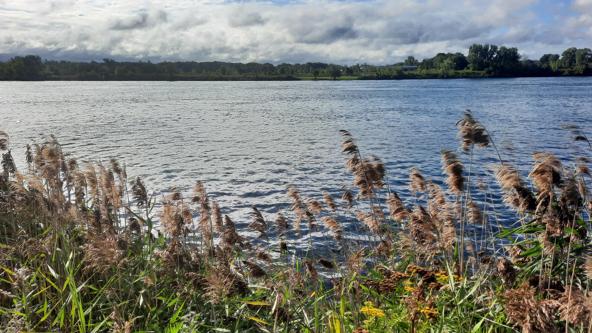 Jeffrey S Rafuse🌳 on Twitter: