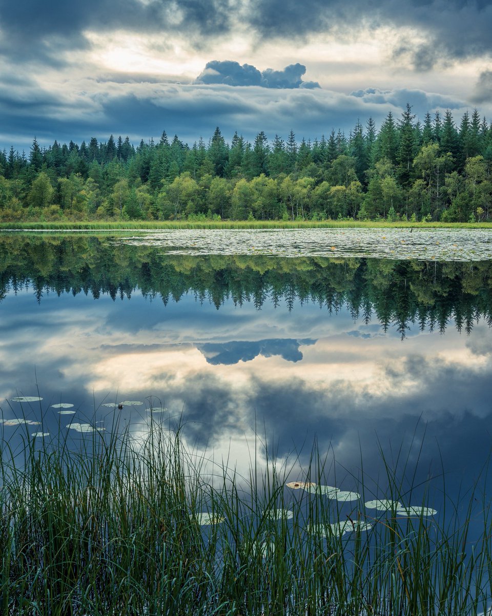 KristianVillad2's tweet photo. Storm clouds rolling by in the horizon reflecting in the calm forest lake it was such a peaceful moment 😌
#landscapephotography #forestlake #waterreflection #stormclouds #peacefullplace https://t.co/CT7NjTc9yH