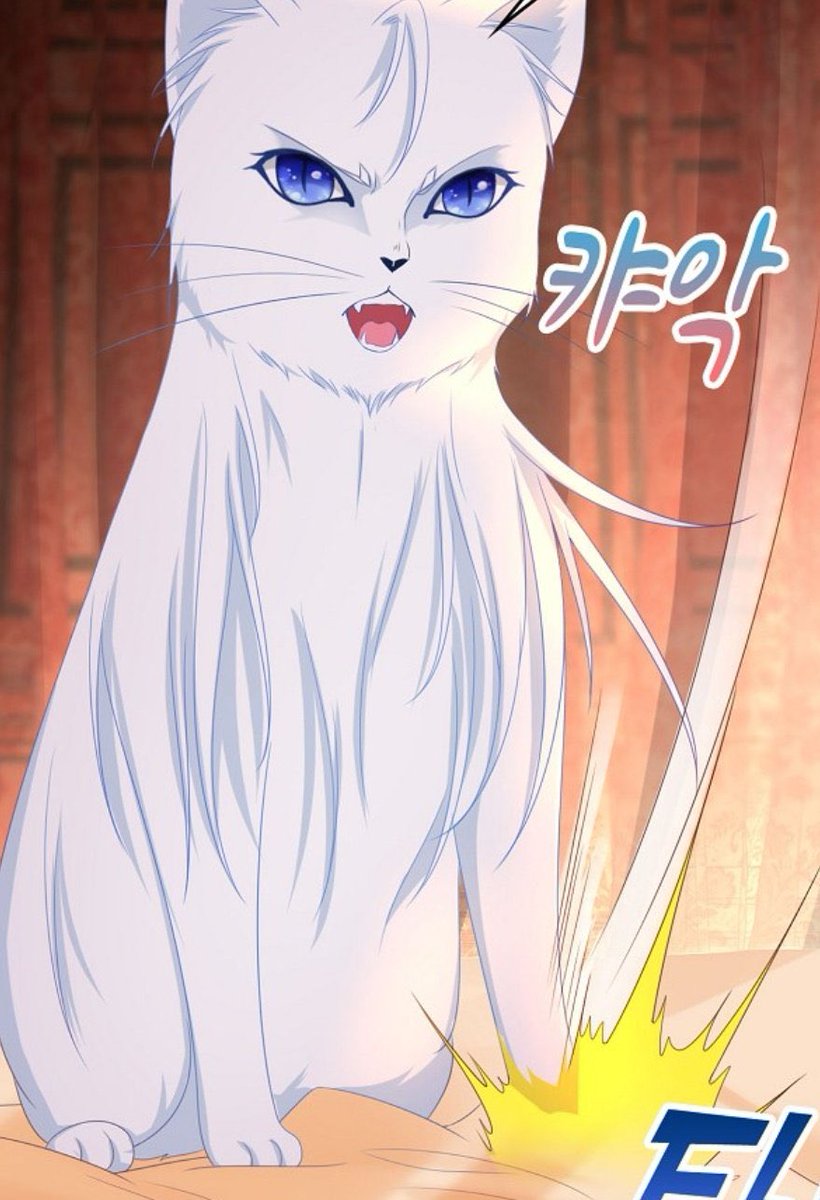 lh_0418's tweet photo. @:아니진짜존나웃기네 고양이인데이렇게패고싶을수가있나 ㅆㅂ https://t.co/Ew3mHBkyej
