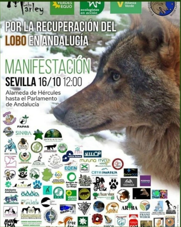 Rafa ayala (@rafapollero) on Twitter photo 