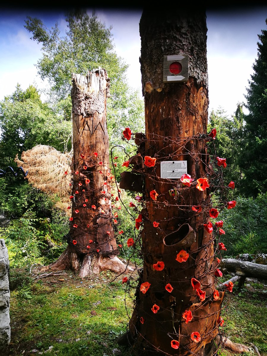 [Sentiero Bosco degli Eroi a Seren del Grappa]
🌲 Una bella camminata nel bosco che parte dalla Conca delle Bocchette.
👉 Un percorso tematico tra natura, arte e storia.
#veneto #trekking #cimagrappa #belluno