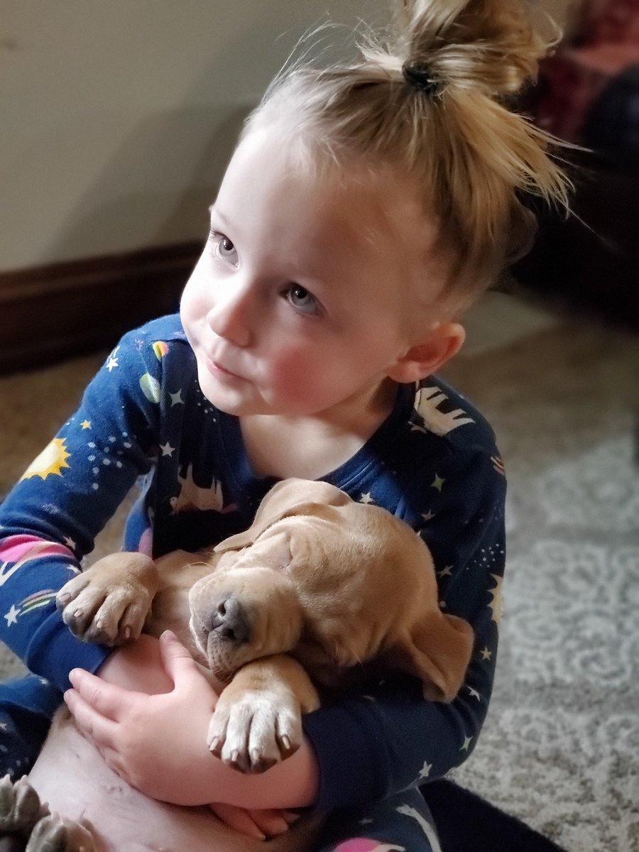 Irelynn22's tweet photo. Happy National Daughters Day (yesterday) to these two AMAZING little ladies of mine. I am beyond blessed to be your mommy. I love you girls more,first, and always forever!! ❤😘 https://t.co/W90D3K9ajm