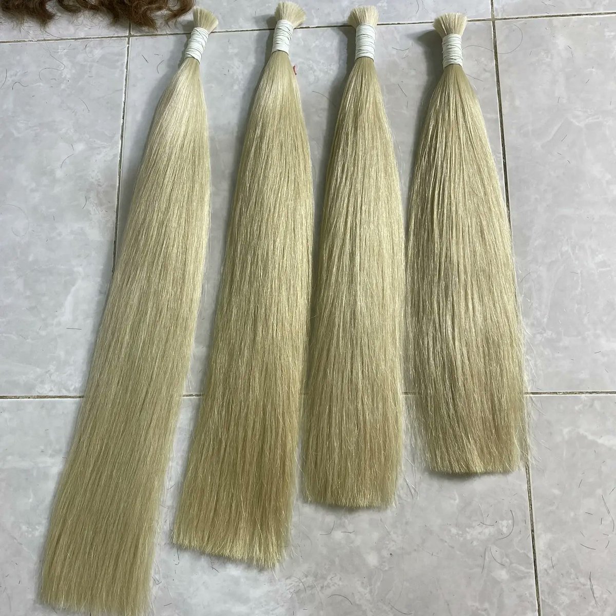 Jamedo17's tweet photo. Blonde hair of Human hair Vietnam ltd
WhatsApp:+84987710755
                   +8498-253-8383
                   +84962246527
#hair #virginhair #humanhair #rawhair #blackhair #bulkhair #haircut #wefthair #tapehair #colorhair #ombrewig #curlyhair #russianhair  #blondehair https://t.co/DwhbuAYleC