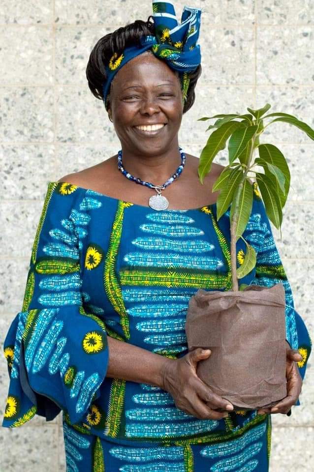 NjeriCologne's tweet photo. 10 year's 25.9.2011 since her transition my SHEROES and her legacy lives on. There's no Climate Change Activism without Prof. Wangari Maathai say her name #ProfWangariMaathai# https://t.co/RlipSQoPao