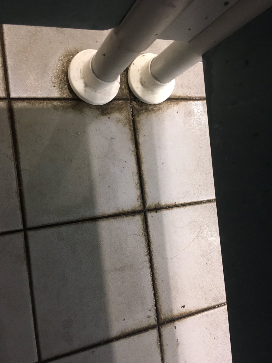 Anna Davis tweet media