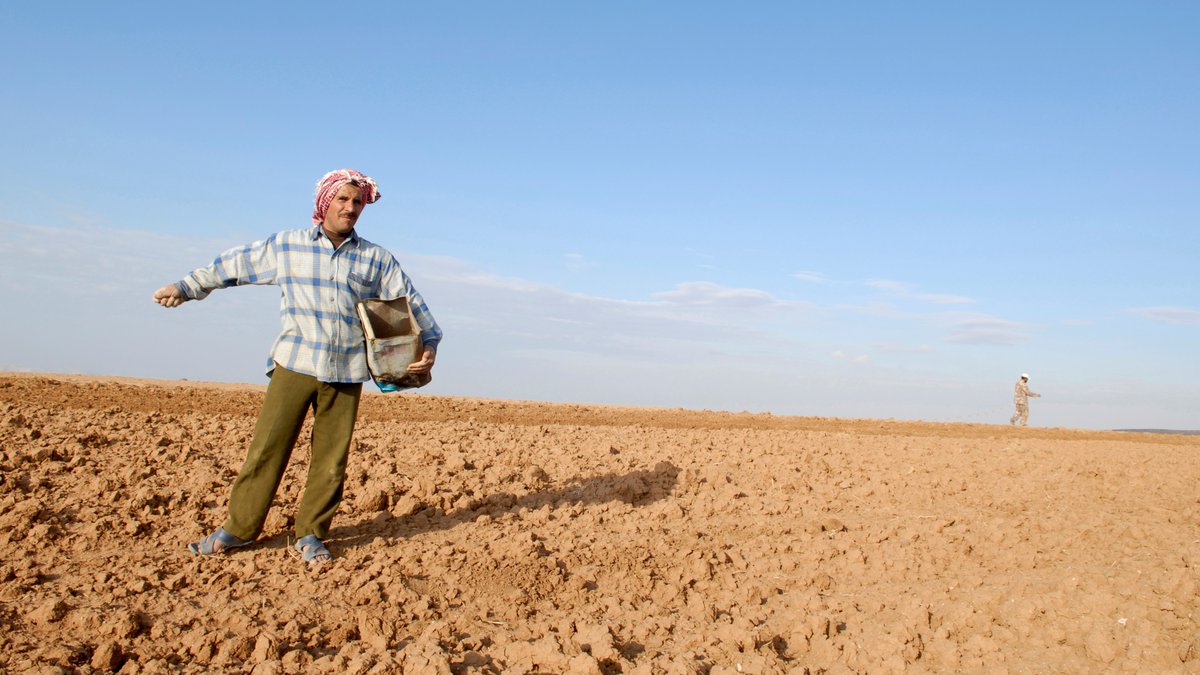 🛑 Climate change
🛑 environmental degradation
🛑 shrinking habitats
🛑 biodiversity loss

We must increase financing and investments to enable small-scale producers to adapt and build resilience.