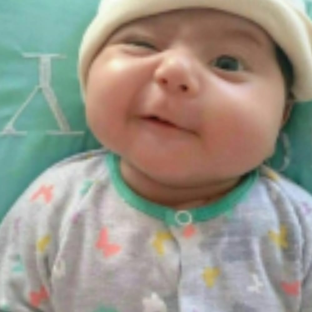 hs__tweet's tweet photo. کسی کا دل نا توڑو وہ سب کے پاس ایک ہوتا ہے ہڈیاں توڑو وہ زیادہ ہوتی ہیں🤪😁🤣😝🤣🤣😂 https://t.co/gNlBBASPpx