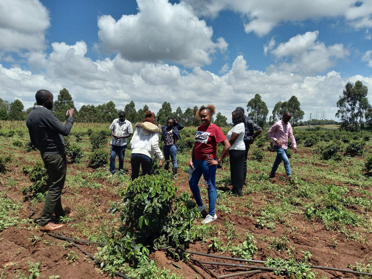 RKDAVID1's tweet photo. Farm tour #JanettesFarmExperience  in Moiben-Uasin Gishu County. It was worth inspiring to see a youth at her tender age, demonstrating excellence of passion into agriculture. Good stuff @Jannettoroitich @IrriHub @rodgers_kirwa @CalebKaruga @diangaronald https://t.co/ms97OIyVQf