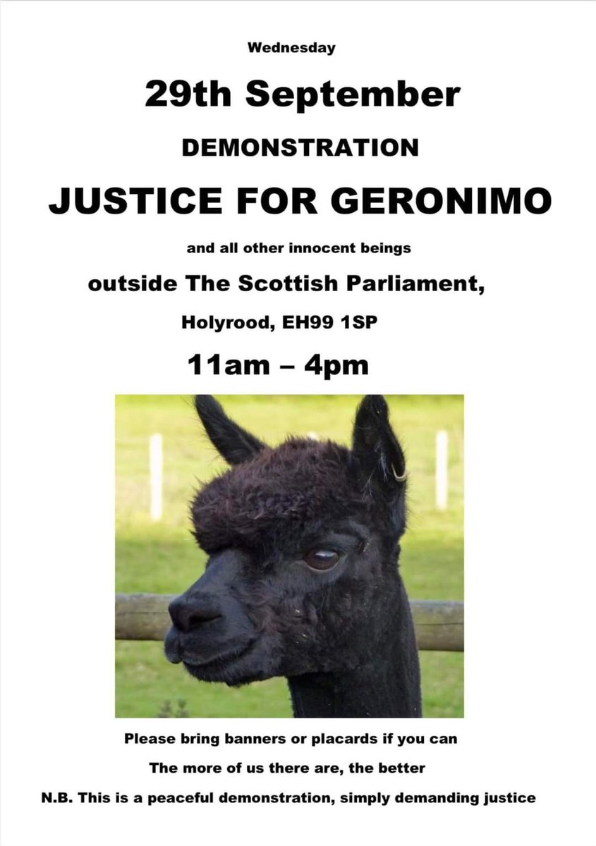 Please go if you can #geronimothealpaca