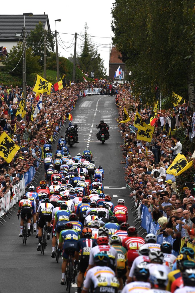 DansLaMusette's tweet photo. Y’a des photos qui rendent heureux. #Flanders2021 https://t.co/F7G89kJATj