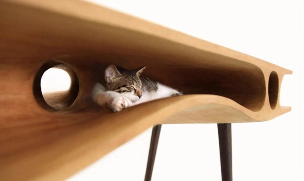 人とネコが共存するデスク？まさに猫のためのテーブルがこちら！