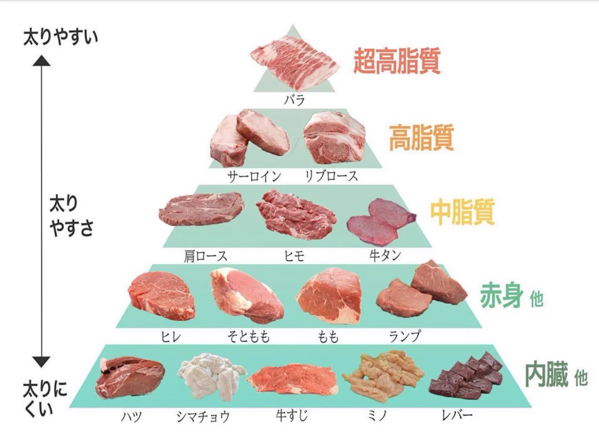 肉好き女子必見！太りやすい＆太りにくいお肉はこれだ！