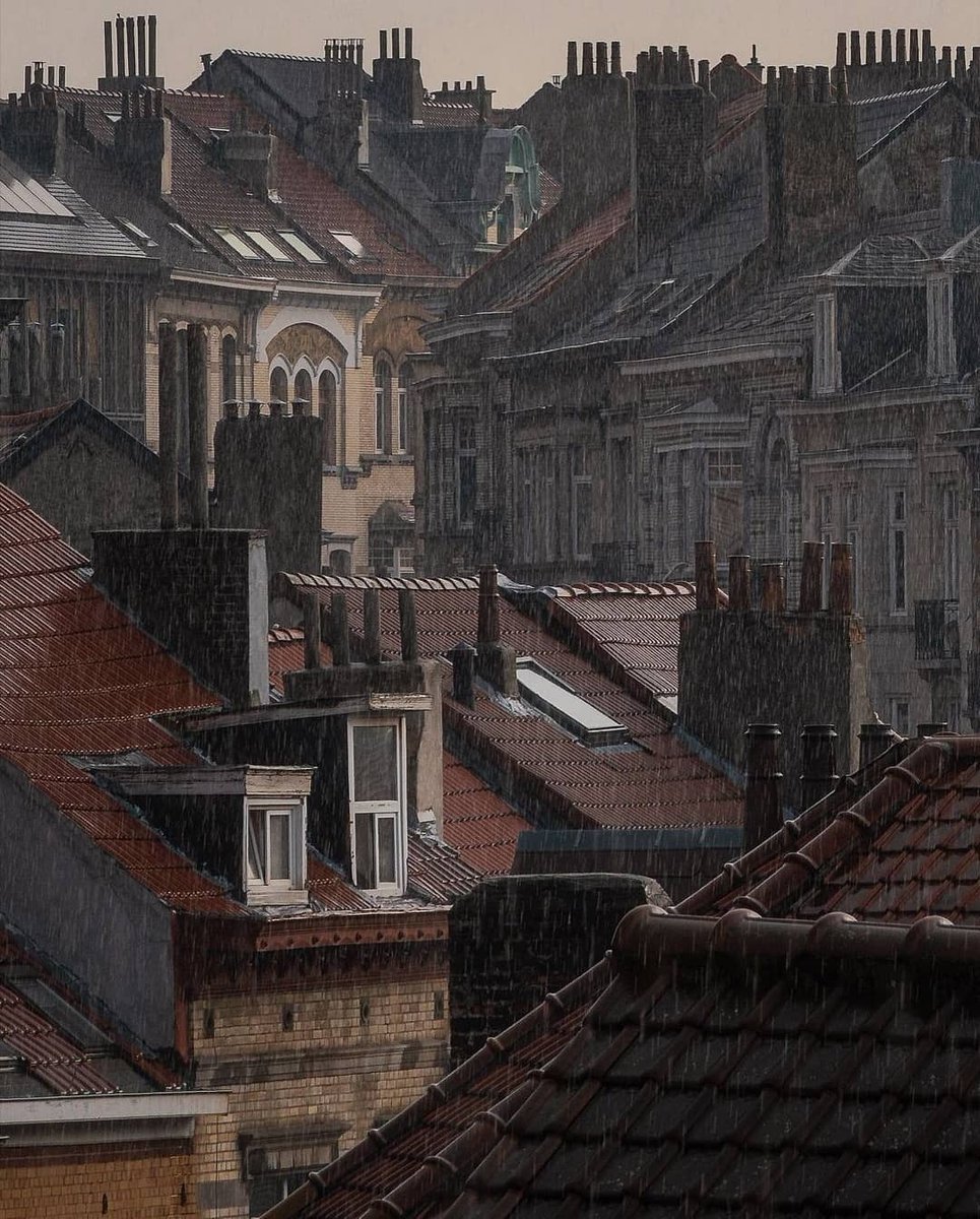 visitbrussels tweet media