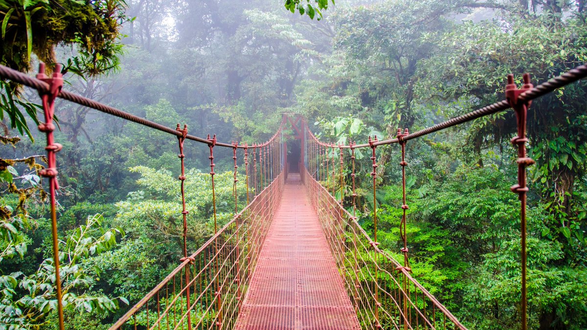 freddtessier's tweet photo. Costa Rica 🇨🇷 https://t.co/E3PyAXWpC7