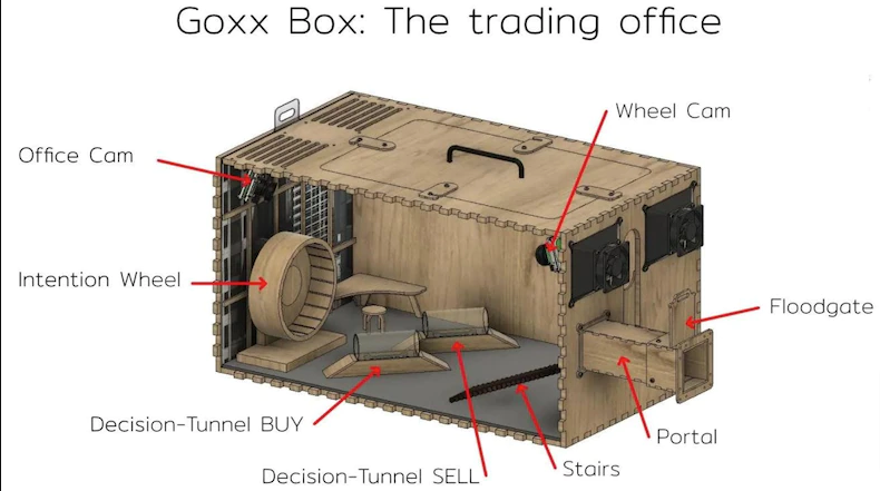 Rainmaker1973's tweet photo. A hamster has been trading cryptocurrencies in a cage rigged to automatically buy and sell tokens since June by running on a wheel &amp; strolling through tunnels: it's currently outperforming the S&amp;P 500, its portfolio being up ~24% on Friday [read more: https://t.co/ZM9P2MvgCE] https://t.co/g90BsEmgfq