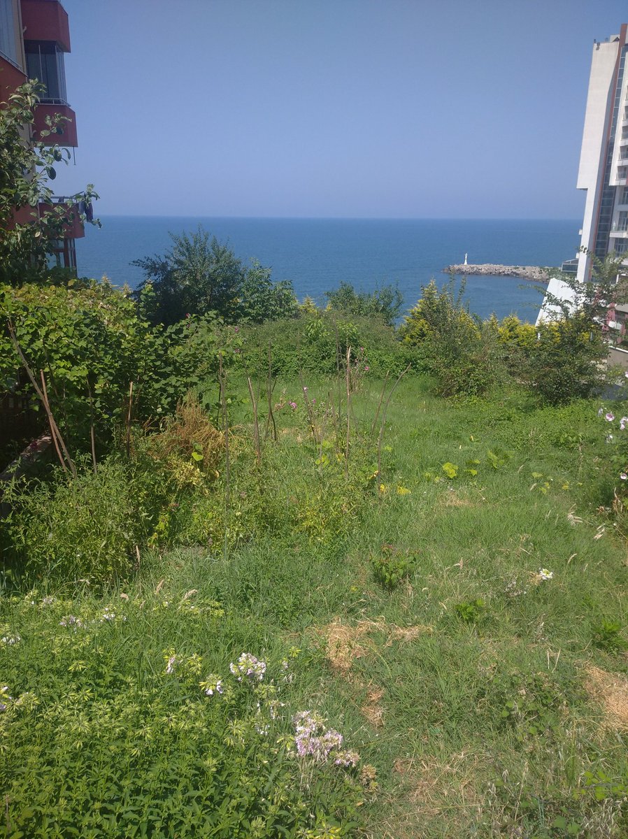 Ben izmitten cengo ateşli bayanlar la görüşmek istiyorum numaram özel numaralara açık yaş takıntım yok05421971977