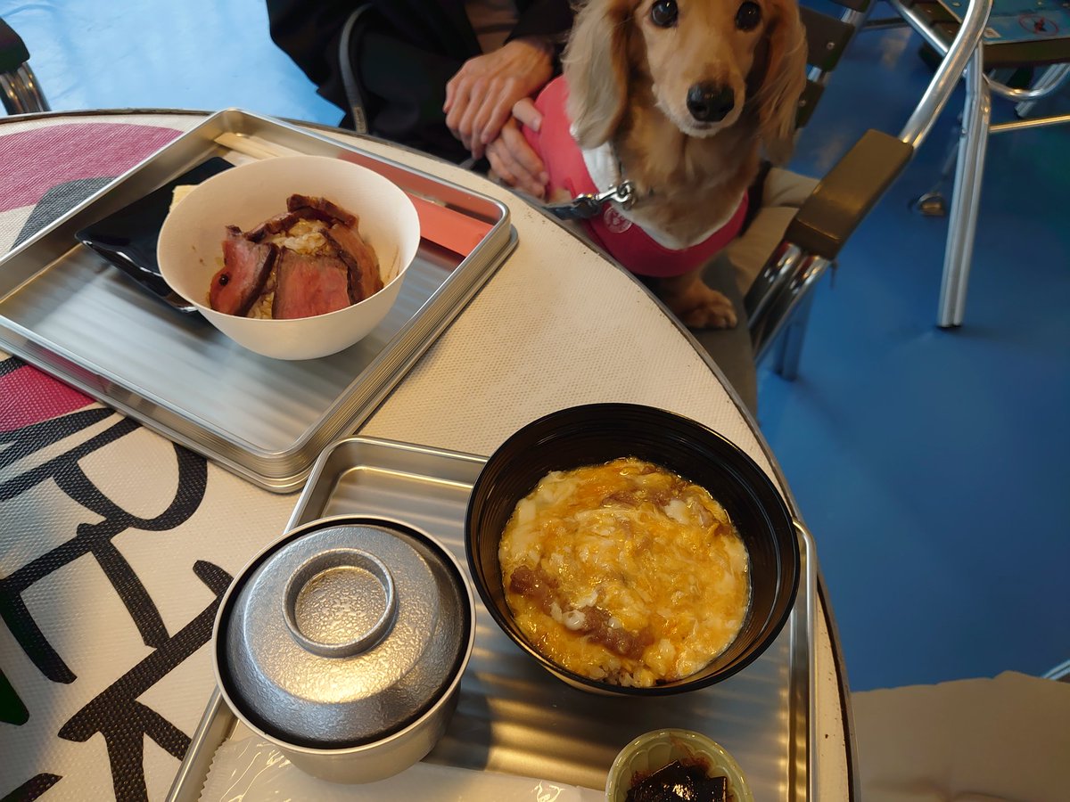 みんなの クルーズ ローストビーフ丼 口コミ 評判 食べたいランチ 夜ごはんがきっと見つかる ナウティスイーツ