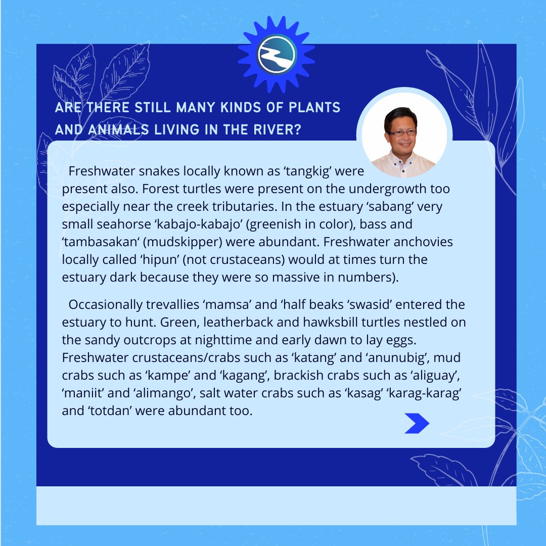KLCampSuba's tweet photo. "Be like a river. Be open. Flow." - Julie Connor

Happy World Rivers Day, everyone! This day is just a remembrance for us to take care of our rivers, every day.

Celebrate with us by discovering the Riverside Stories from Mr. John G. Ochavillo about the Manaba River of GH, Bohol! https://t.co/W72Id9n1z9
