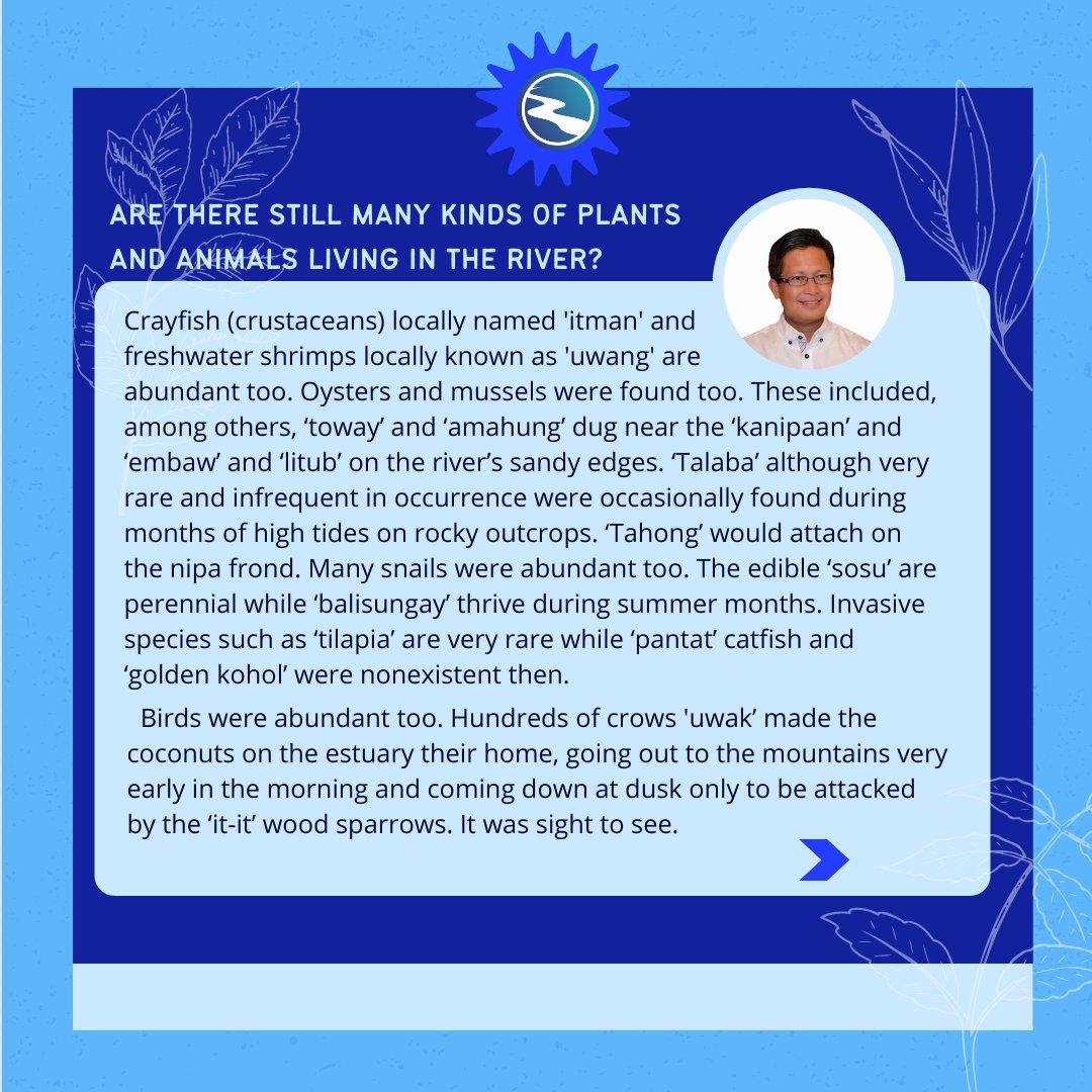 KLCampSuba's tweet photo. "Be like a river. Be open. Flow." - Julie Connor

Happy World Rivers Day, everyone! This day is just a remembrance for us to take care of our rivers, every day.

Celebrate with us by discovering the Riverside Stories from Mr. John G. Ochavillo about the Manaba River of GH, Bohol! https://t.co/W72Id9n1z9