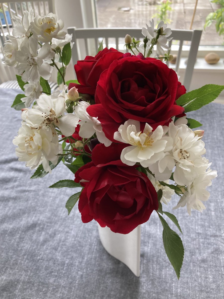 Mina rosor bara fortsätter att blomma. Doftar honung i hela rummet.