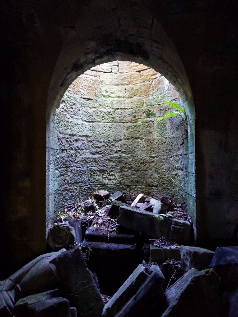 Lauren JohnstonSmith (@yarnoverhook) on Twitter photo A lovely trip to <a href="/DalryCemetery/">Friends of Dalry Cemetery</a> and the Dean Gardens today as part of <a href="/thecockburn/">Cockburn Association (The Edinburgh Civic Trust)</a>'s #DoorsOpenDays - highly recommend the cemetery for a wander + bonus free book library 📚 A lovely trip to <a href="/DalryCemetery/">Friends of Dalry Cemetery</a> and the Dean Gardens today as part of <a href="/thecockburn/">Cockburn Association (The Edinburgh Civic Trust)</a>'s #DoorsOpenDays - highly recommend the cemetery for a wander + bonus free book library 📚