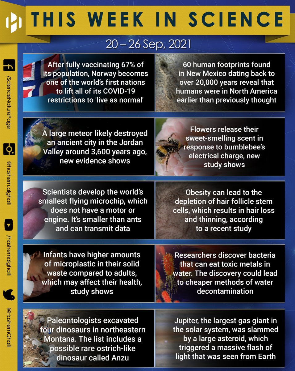 HashemGhaili's tweet photo. This Week in Science (20 – 26 Sep, 2021)

#Science #Research #WeeklySummary https://t.co/EFfQPYMgjC